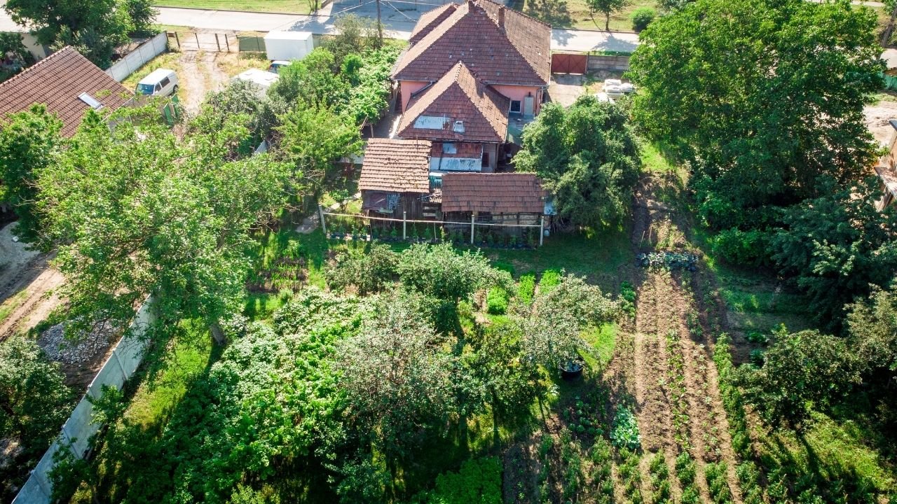 bahce-duzenlemesi